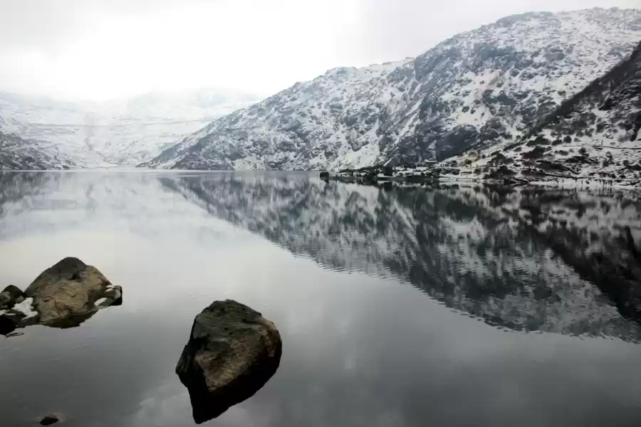 Photo of Super Saver North Ea