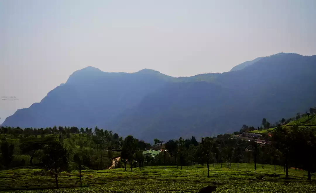 Photo of mountains calling- u