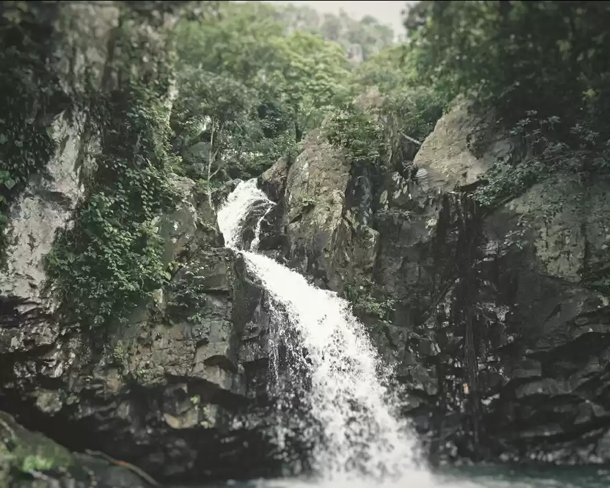 Photo of Majestic Mayurbhanj