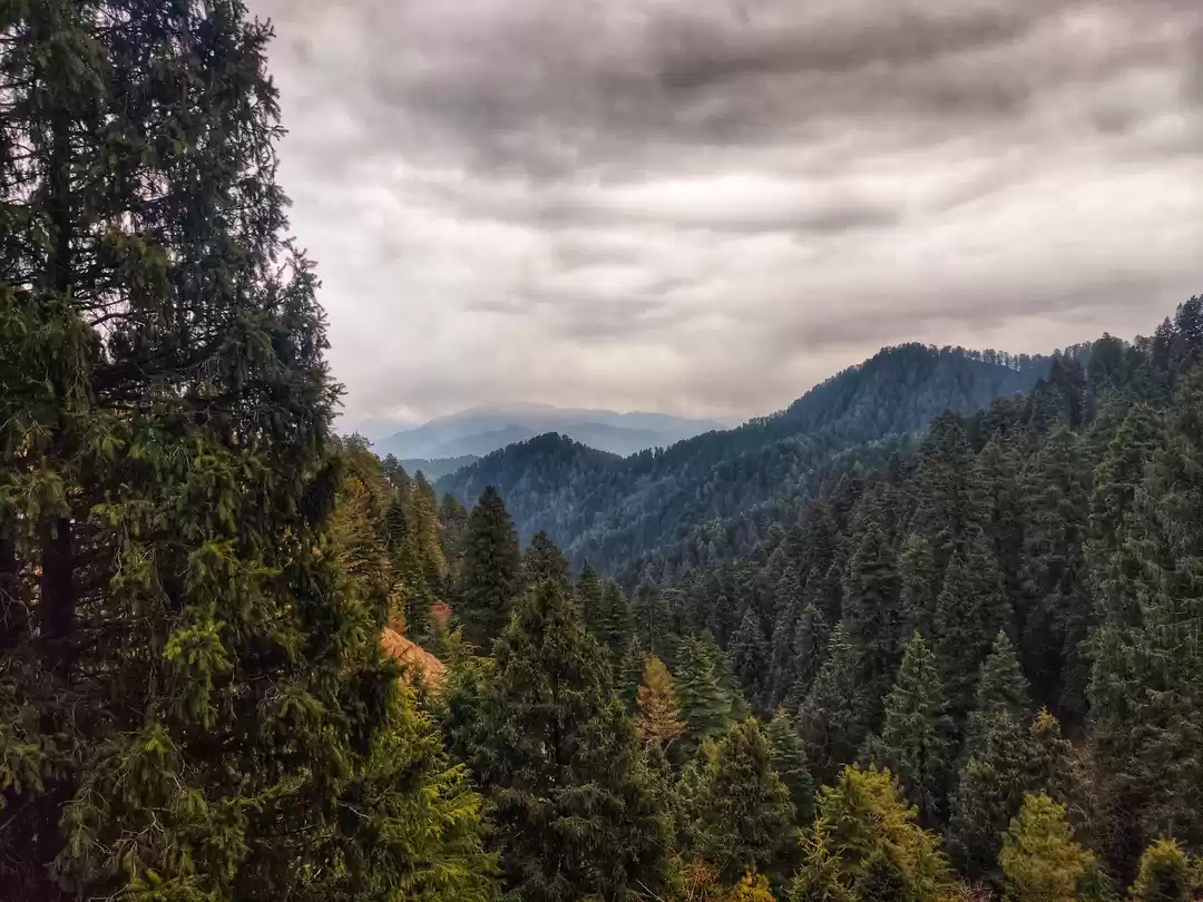 Photo of Prashar, Story of a 