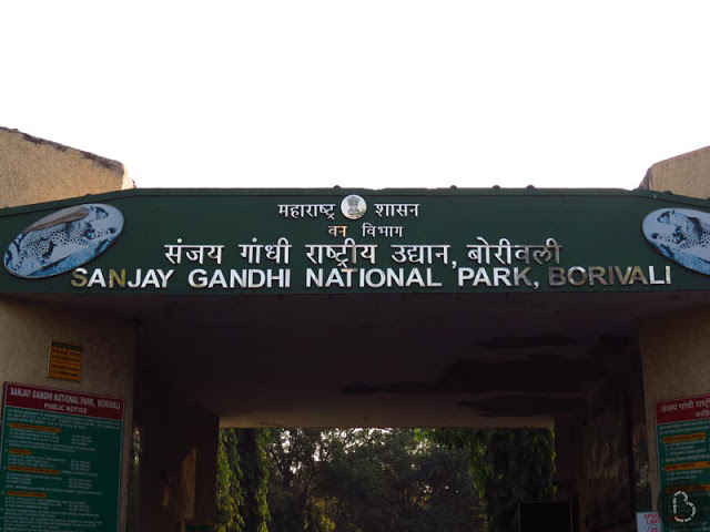 Sanjay Gandhi National Park Entry Fee: Timings Activities - Tripoto