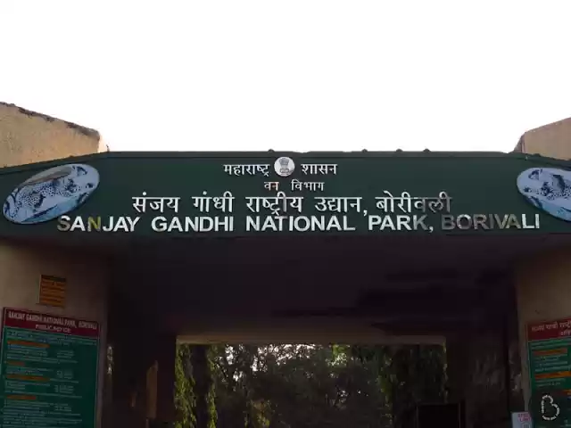 Photo of Travel Diary: Sanjay