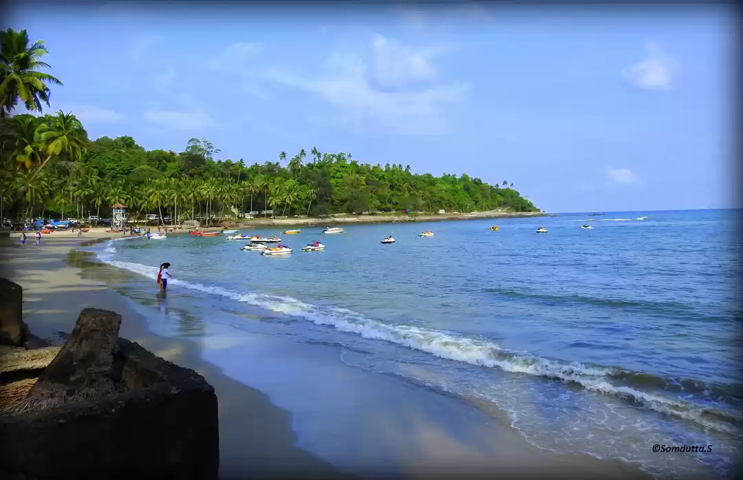 Photo of Andamans-the coral t
