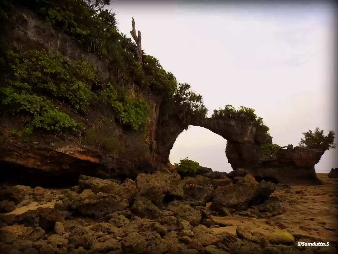 Photo of Andamans - the coral