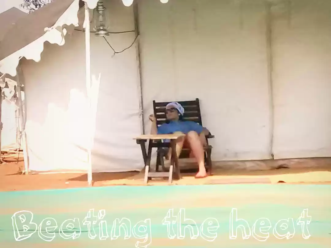 Photo of The Lost Party 2016