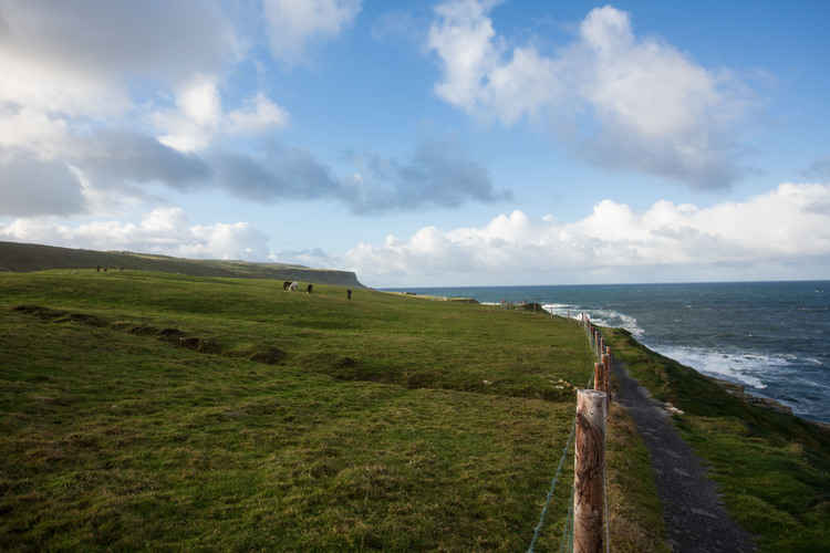 Photo of Double D's (Doolin and Dublin)