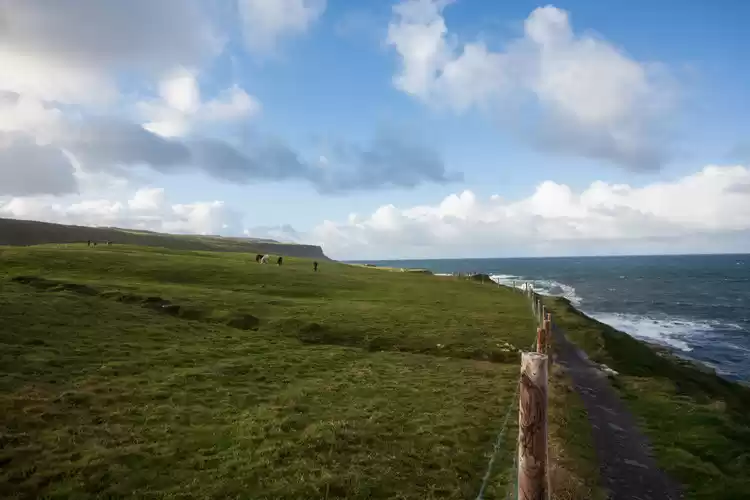 Photo of Double D's (Doolin a