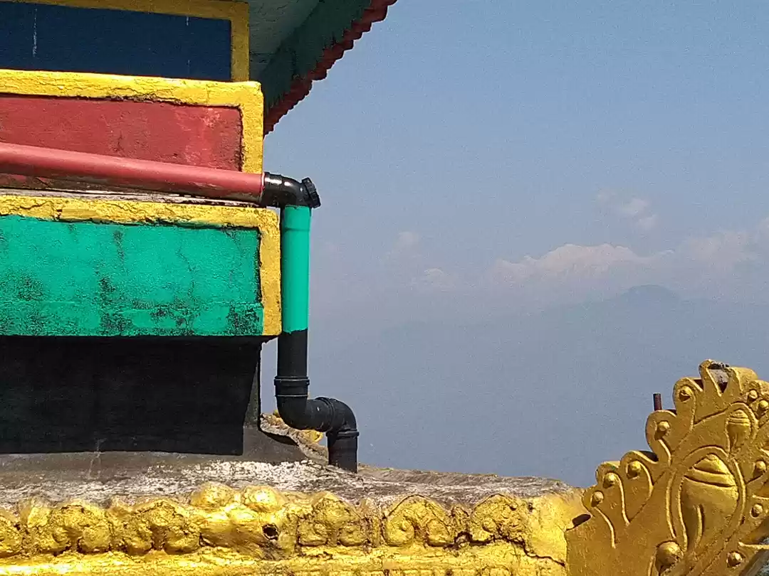 Photo of Sittong: The orange 