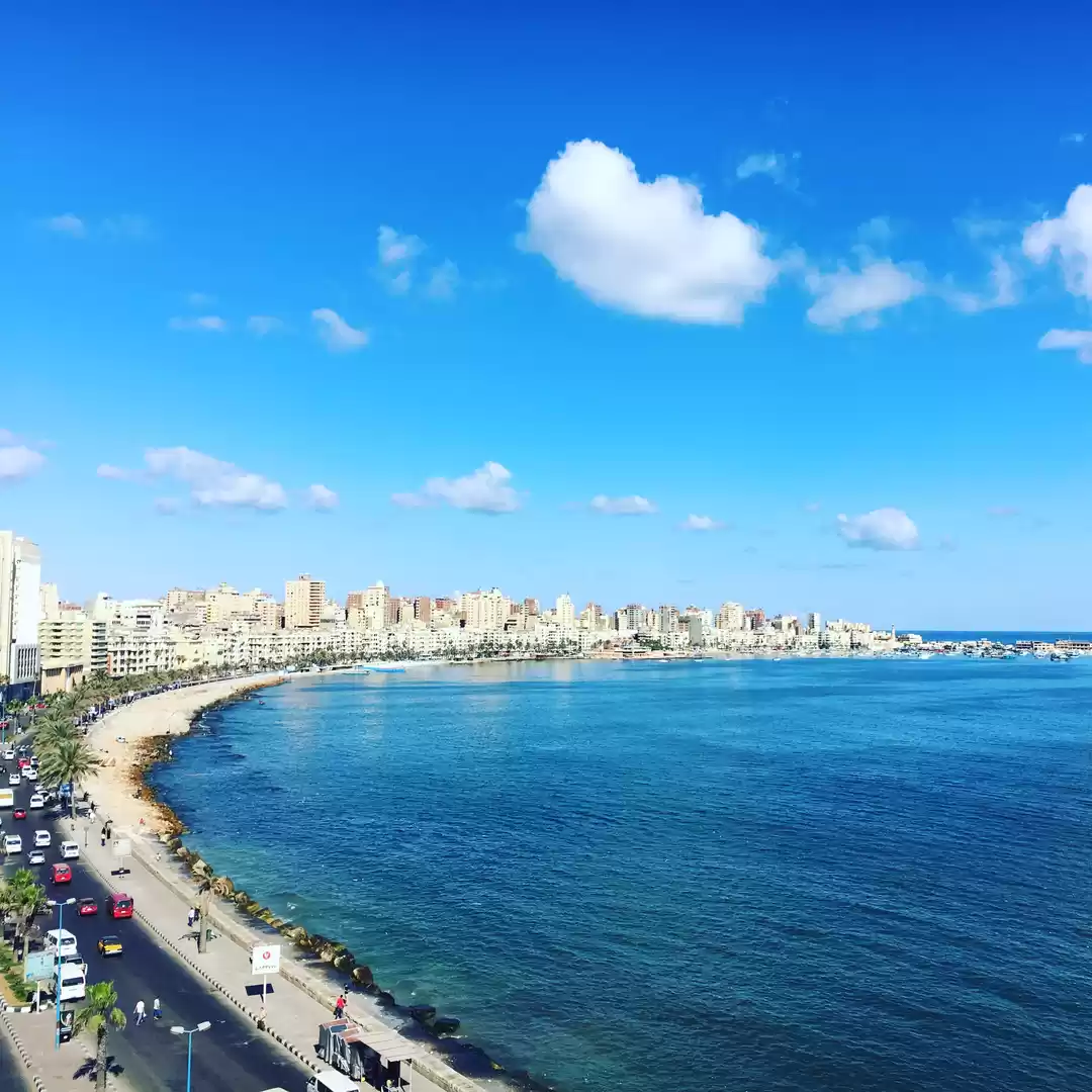 Photo of Egyptian encounters,