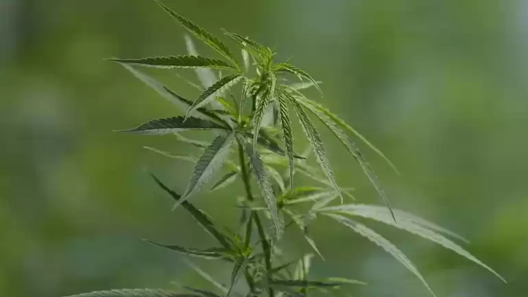 Photo of Here's the First Asi