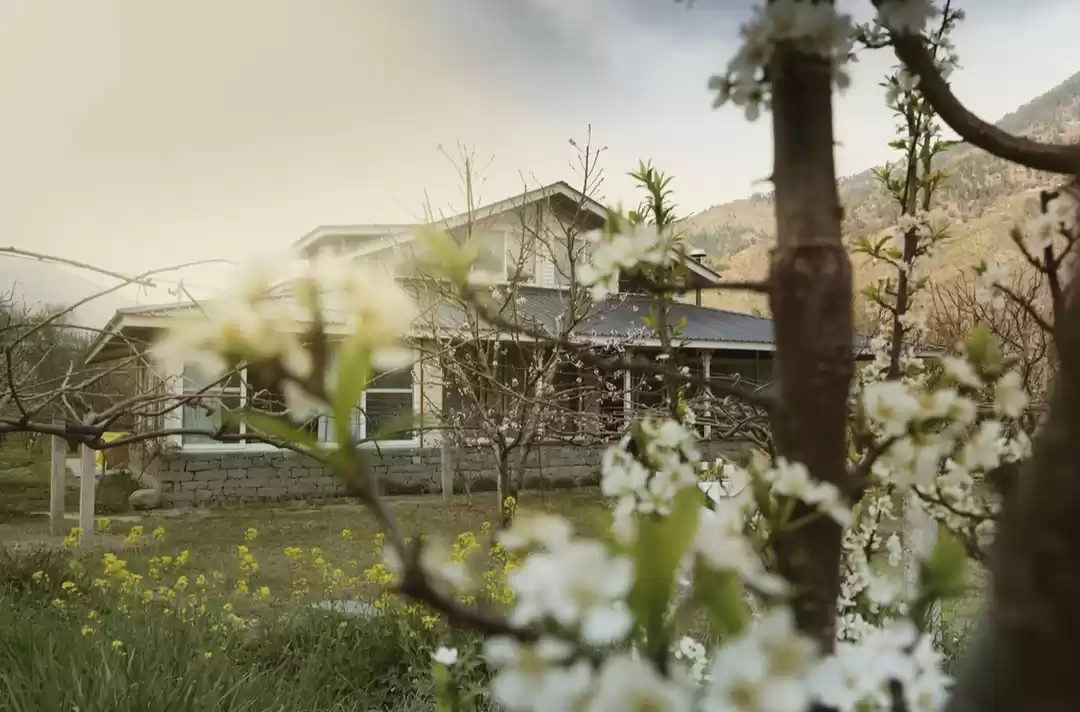 Photo of An Hour from Manali,