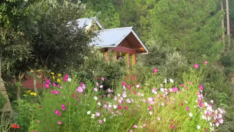 Photo of 11 Cosy Homestays in