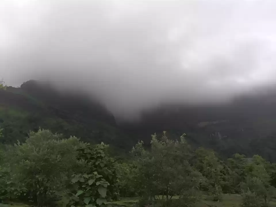 Photo of Would You Go For A T