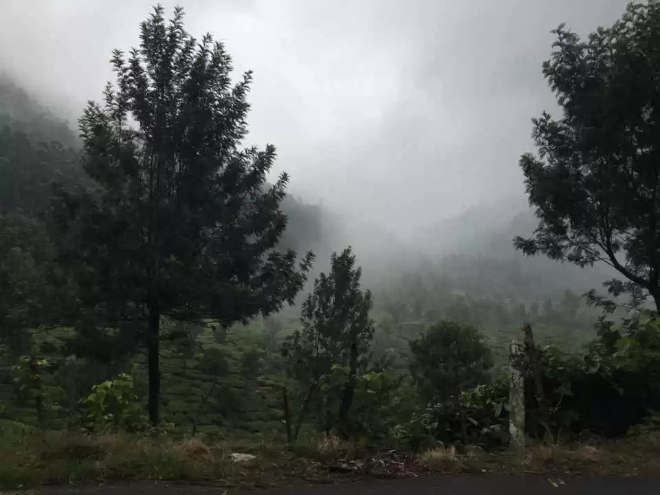 Photo of Kerala During The Ra