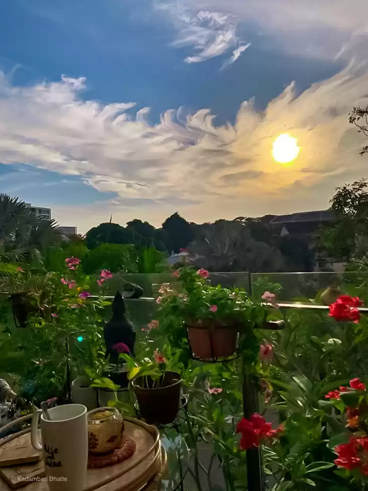 Photo of Sunset & Sunrise Ski