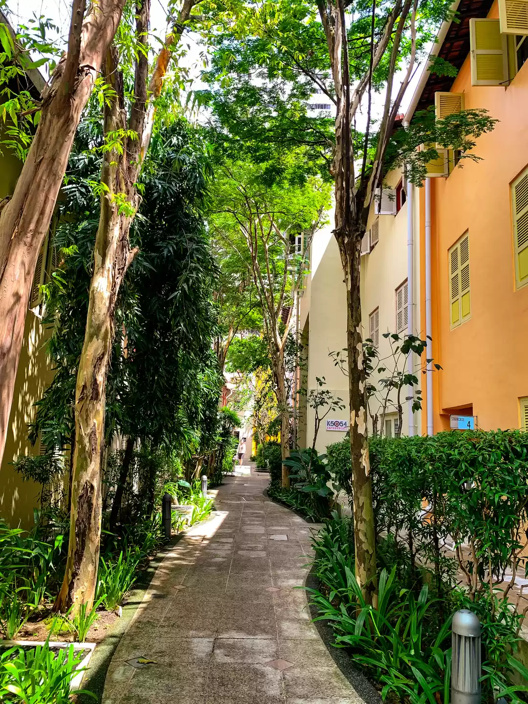 Photo of A Vibrant Walk Throu