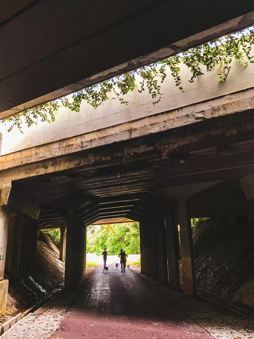 Photo of The Road That Took M