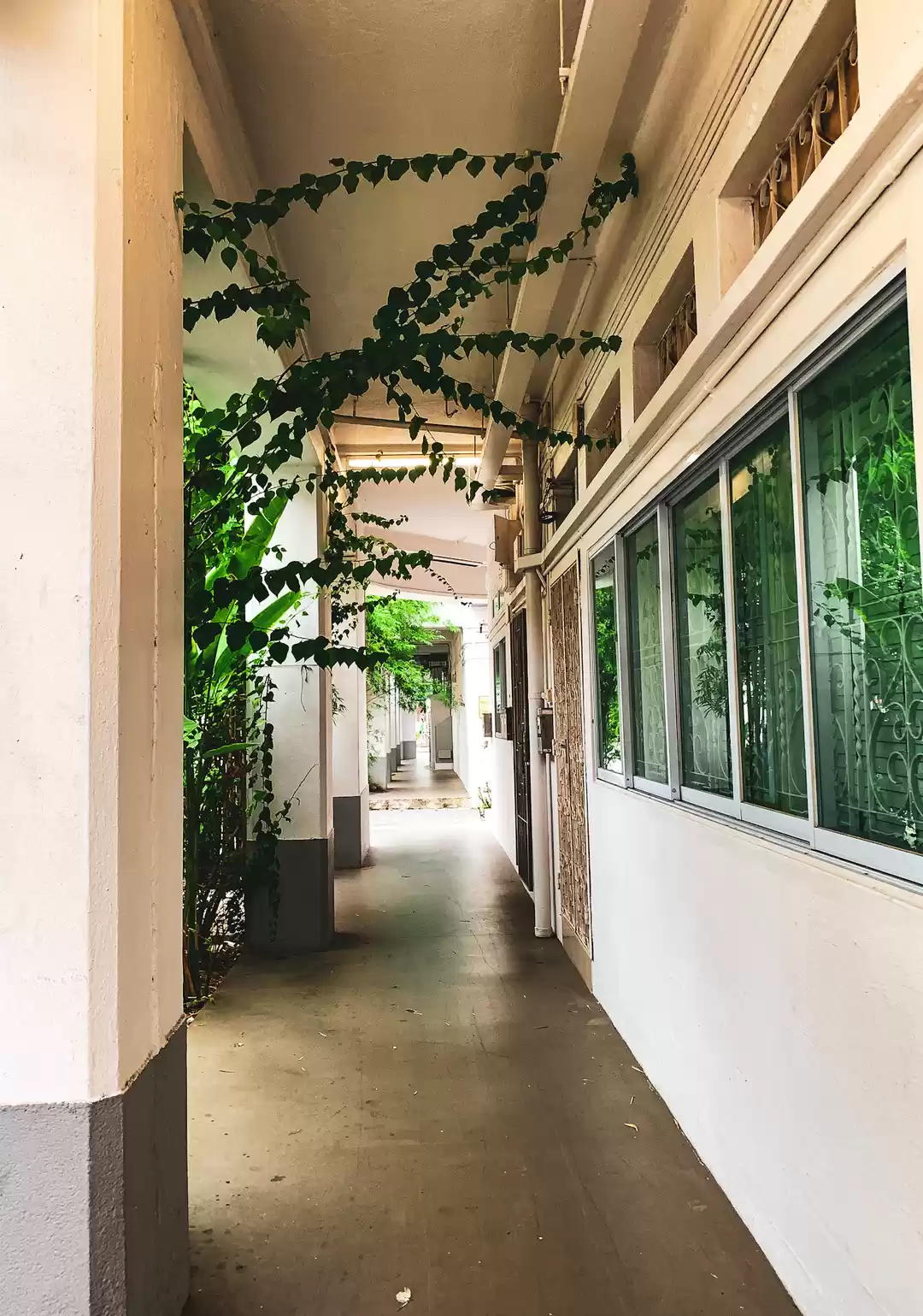 Photo of Warm Shades of Tiong