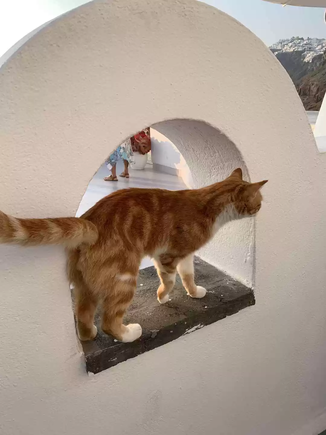 Photo of Meet My Cutest Trave