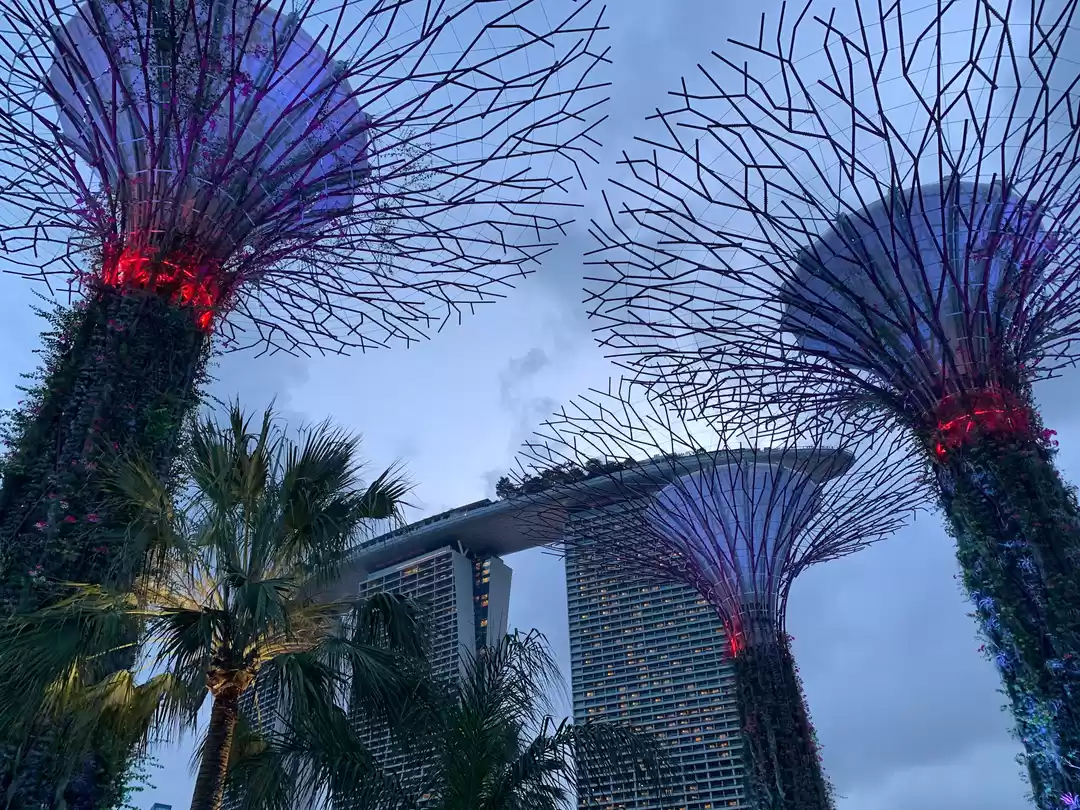 Photo of Singapore's Bucket L