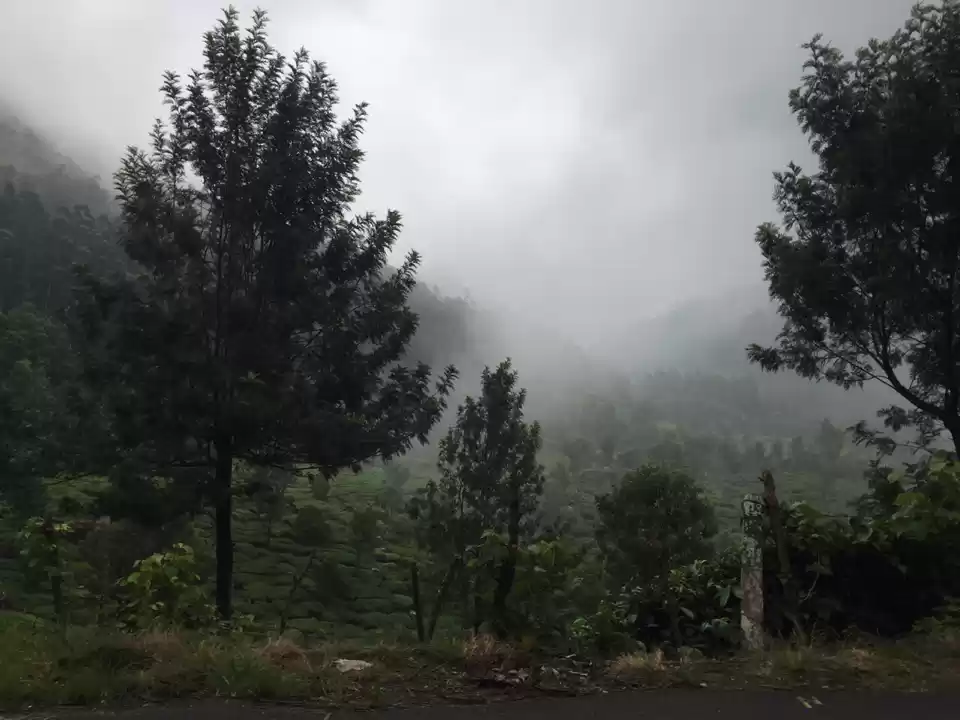 Photo of Fascinating Kerala