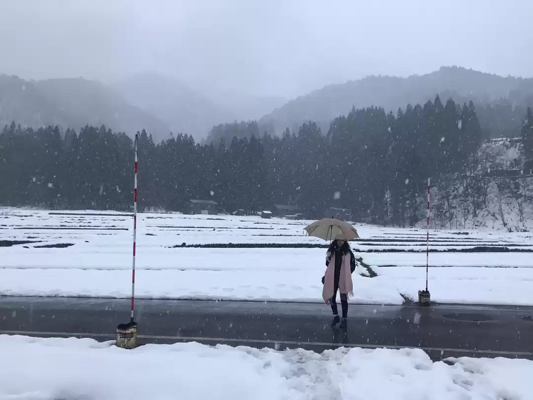Photo of JAPAN Is A Land Full