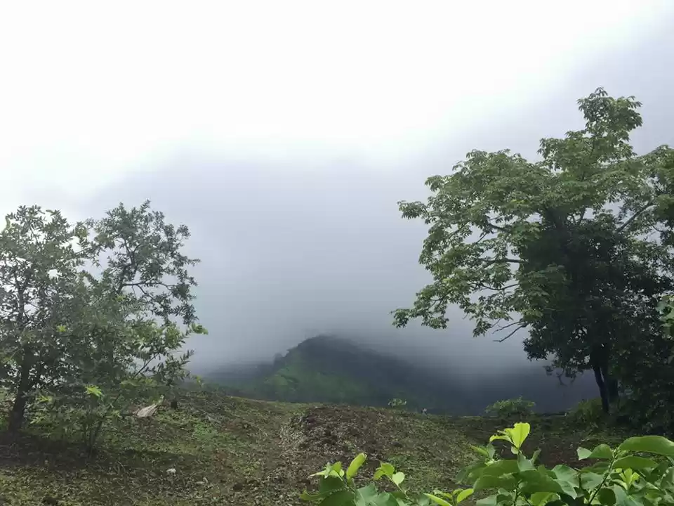 Photo of Experience the Rains