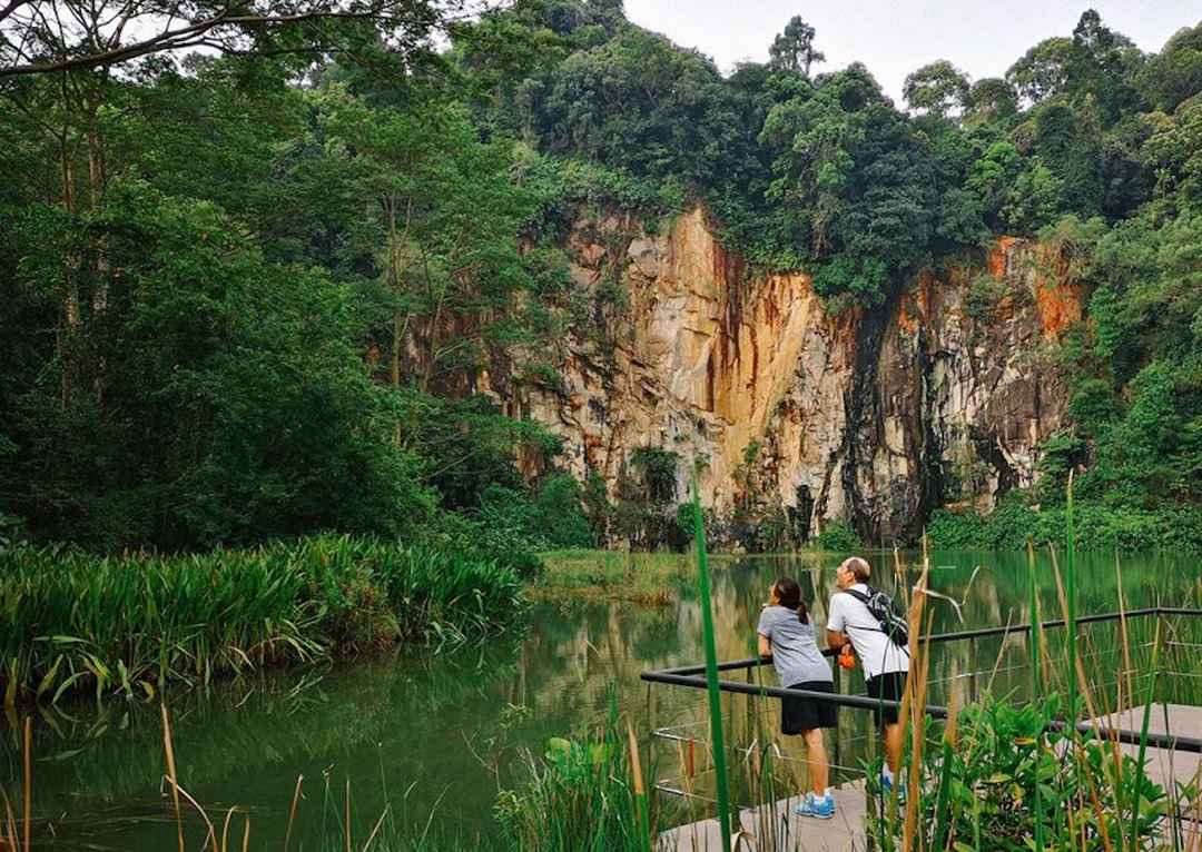 A Short Hike Singapore's Bukit Nature Reserve Tripoto