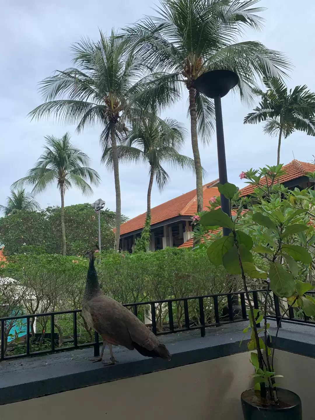 Photo of A Dose Of Nature In 