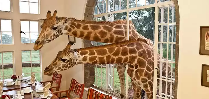 Photo of These 12 Bizarre B&B