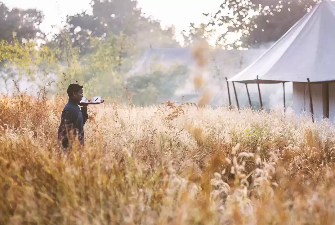 Photo of Escape Delhi's Poor