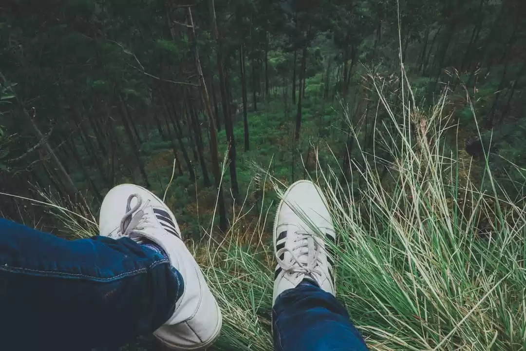 Photo of Vattakanal Reverie: 