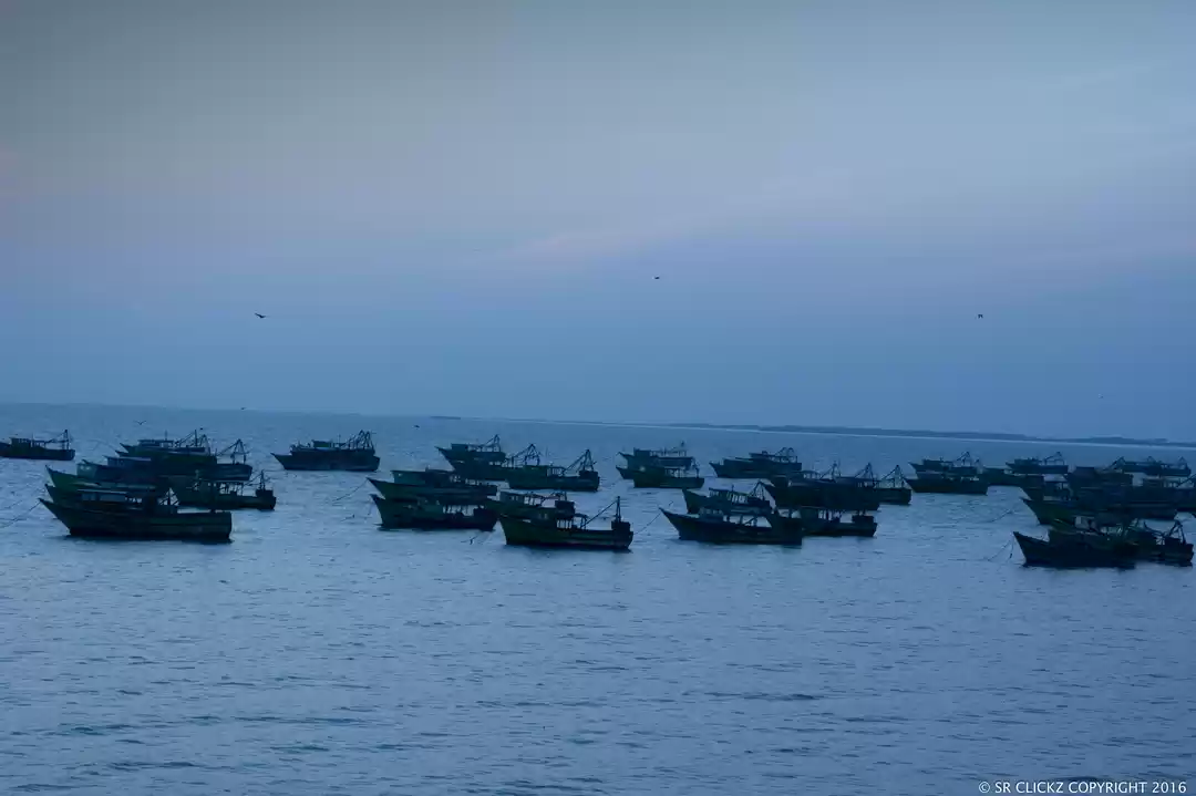 Photo of Road trip to Dhanush