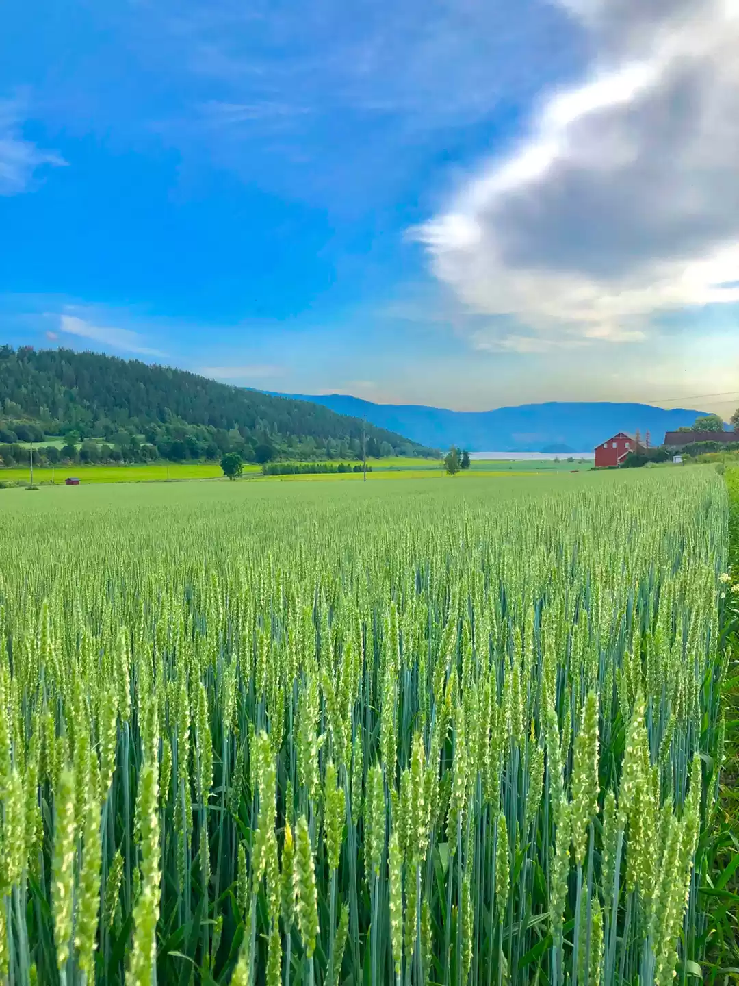 Photo of Road trip to Flåm 