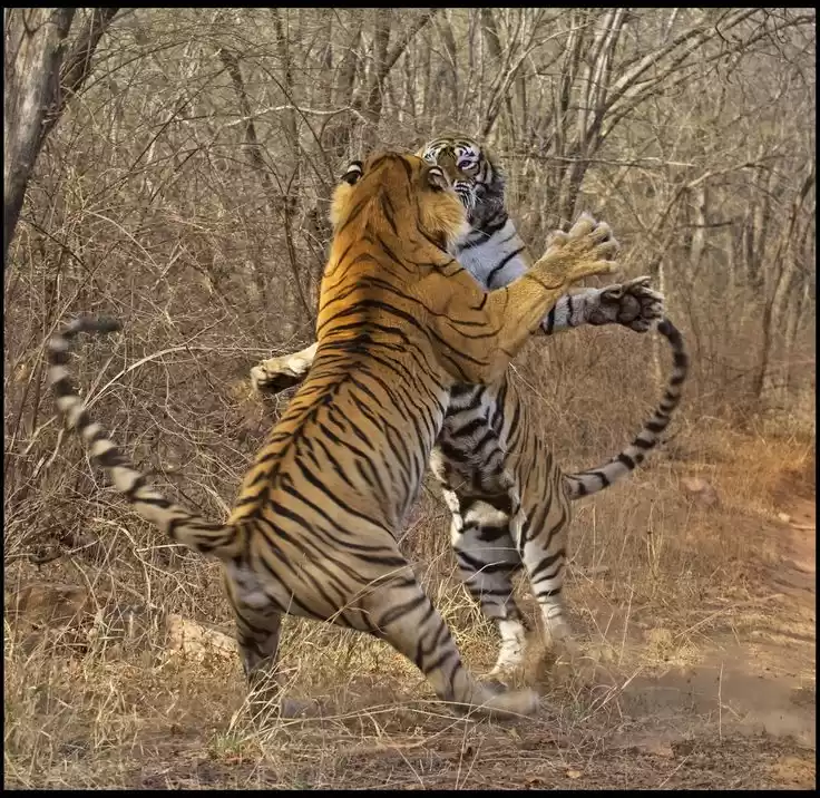 Photo of A Guide to Sunshine 