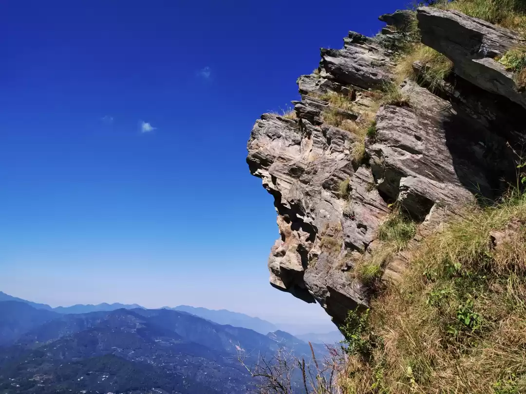 Photo of Chali ki jali Muktes