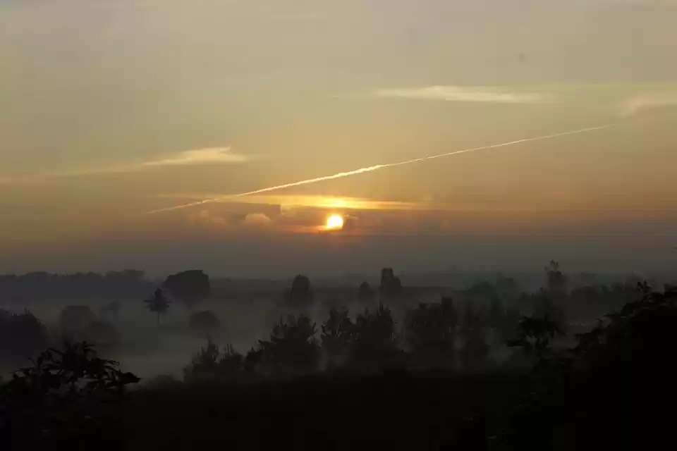 Photo of Bylakuppe – In pursu