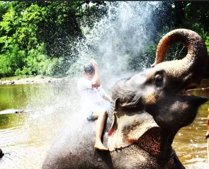 Photo of The other side of Go