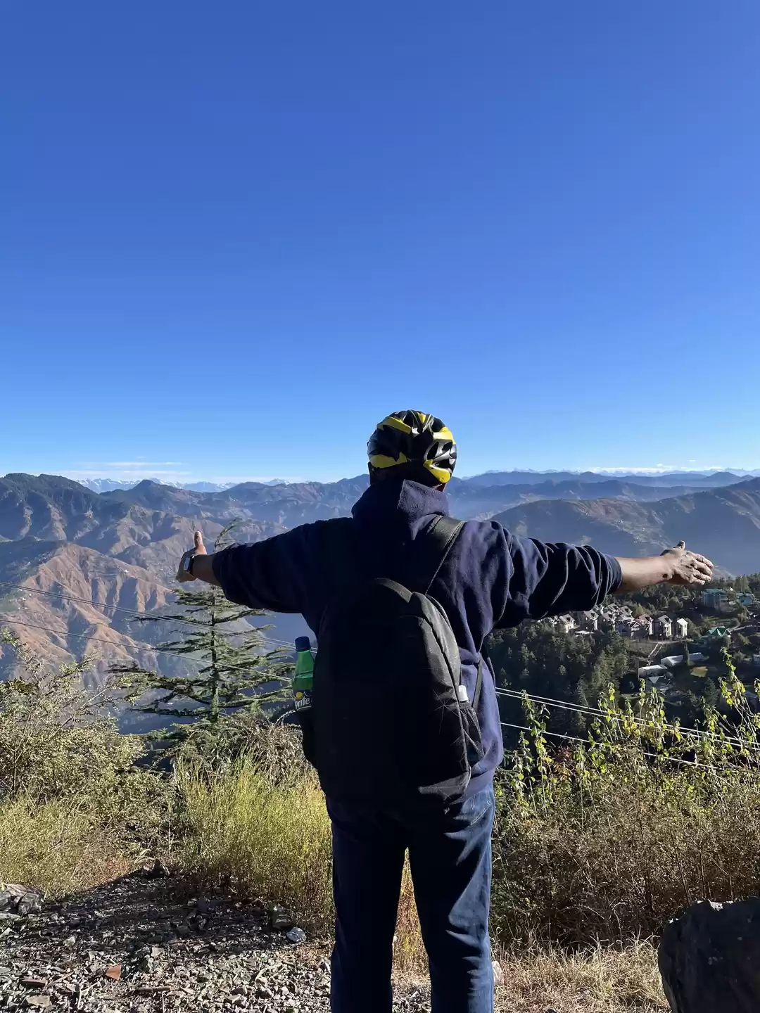 Photo of Hidden Pine forests 