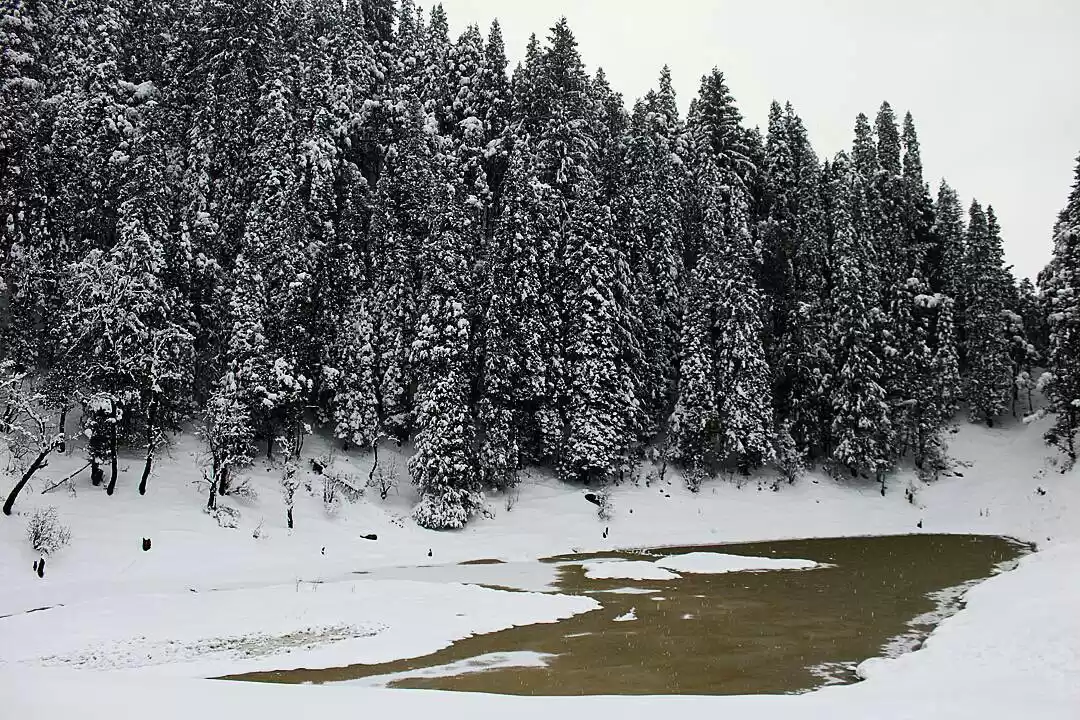 Photo of Kedarkantha: So near