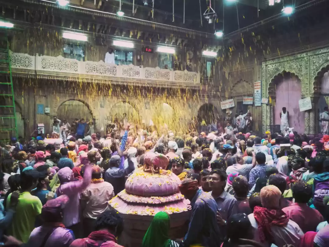 Photo of The Colours of Holi 