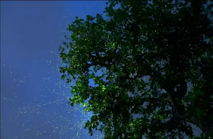 Photo of And then we watched 