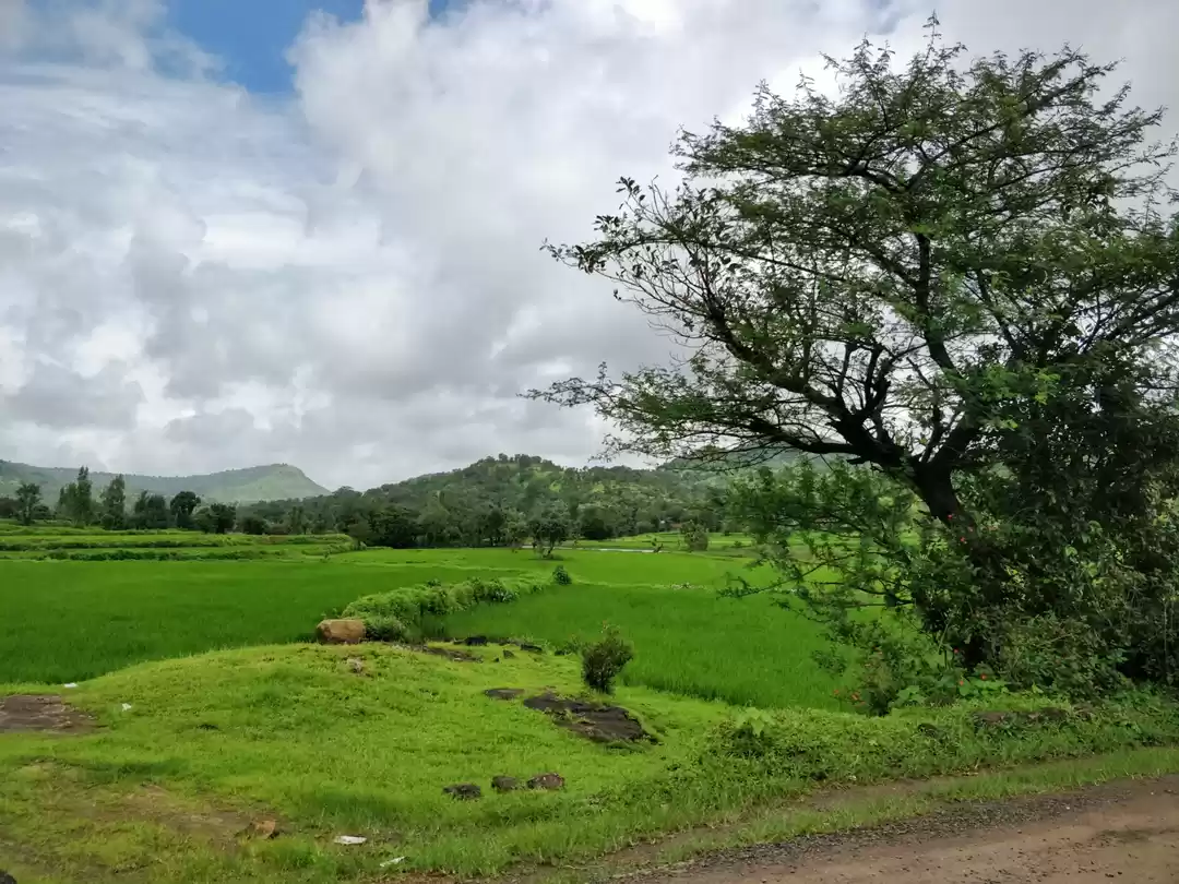 Madhuban Village Farmhouse Vista
