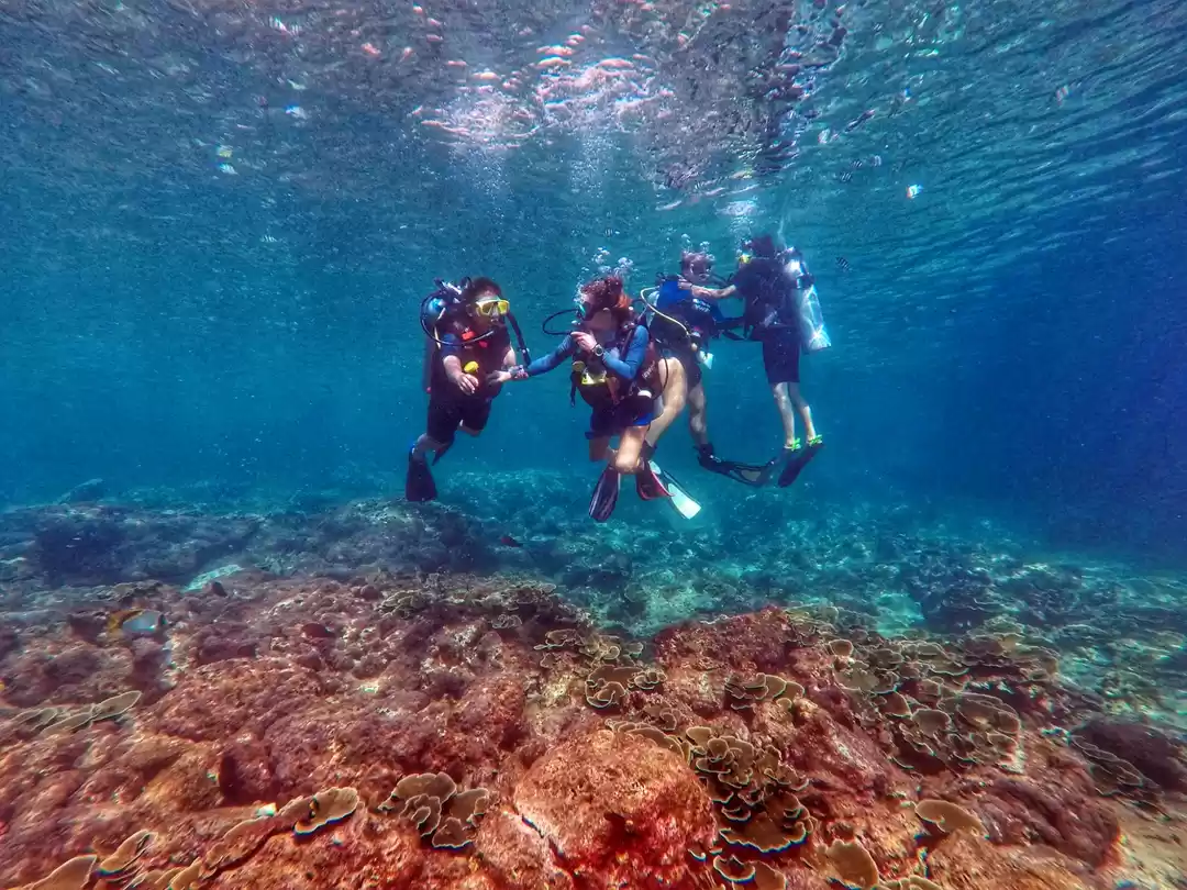 Photo of My Underwater Rendez