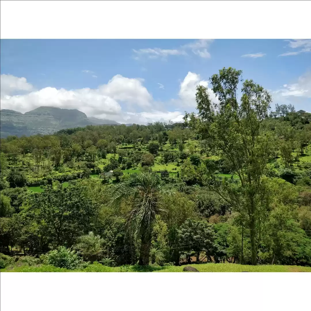 Photo of Igatpuri : The Incre