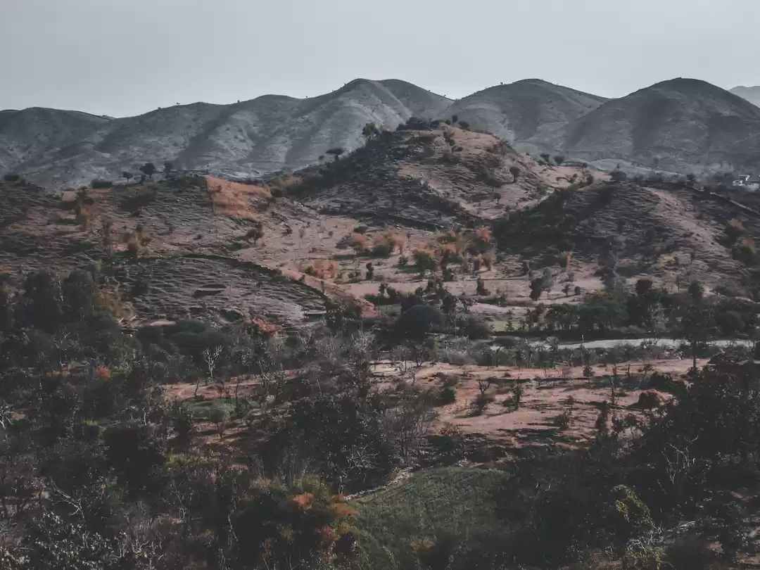 Photo of Road trip to Country