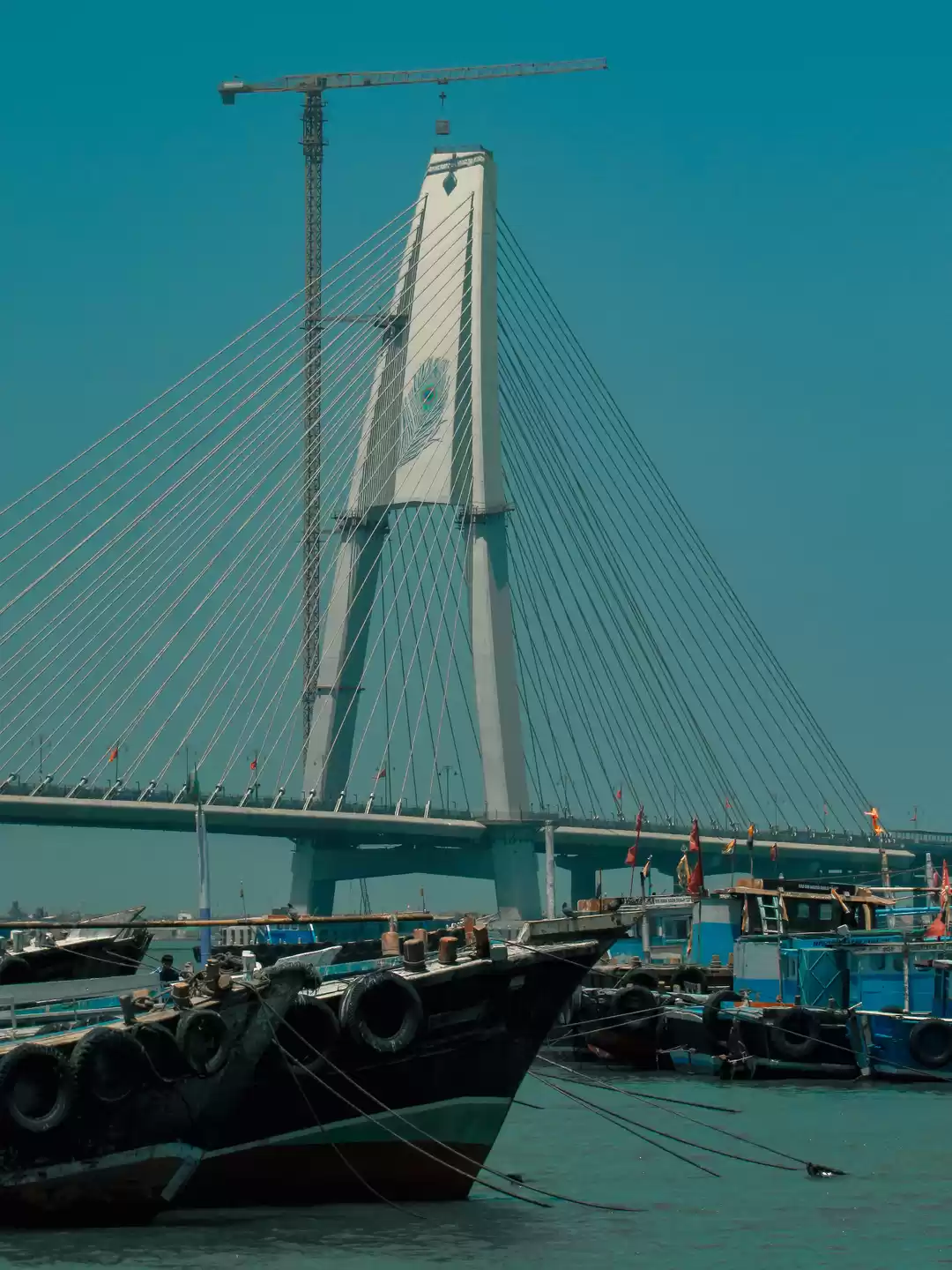 Photo of Sudarshan Setu: Brid