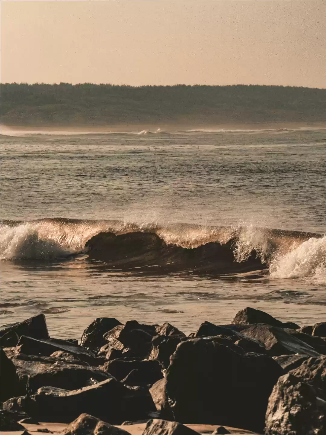 Photo of Different Shades of 