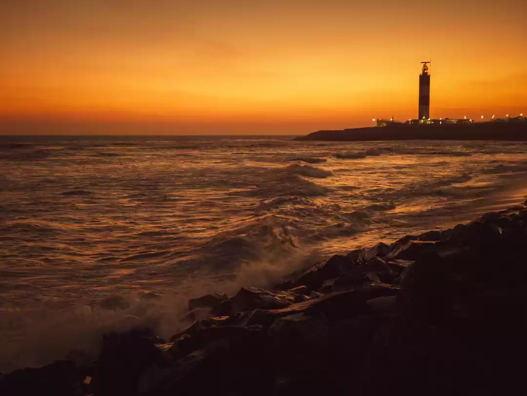 Photo of Arabian Sea Views: C