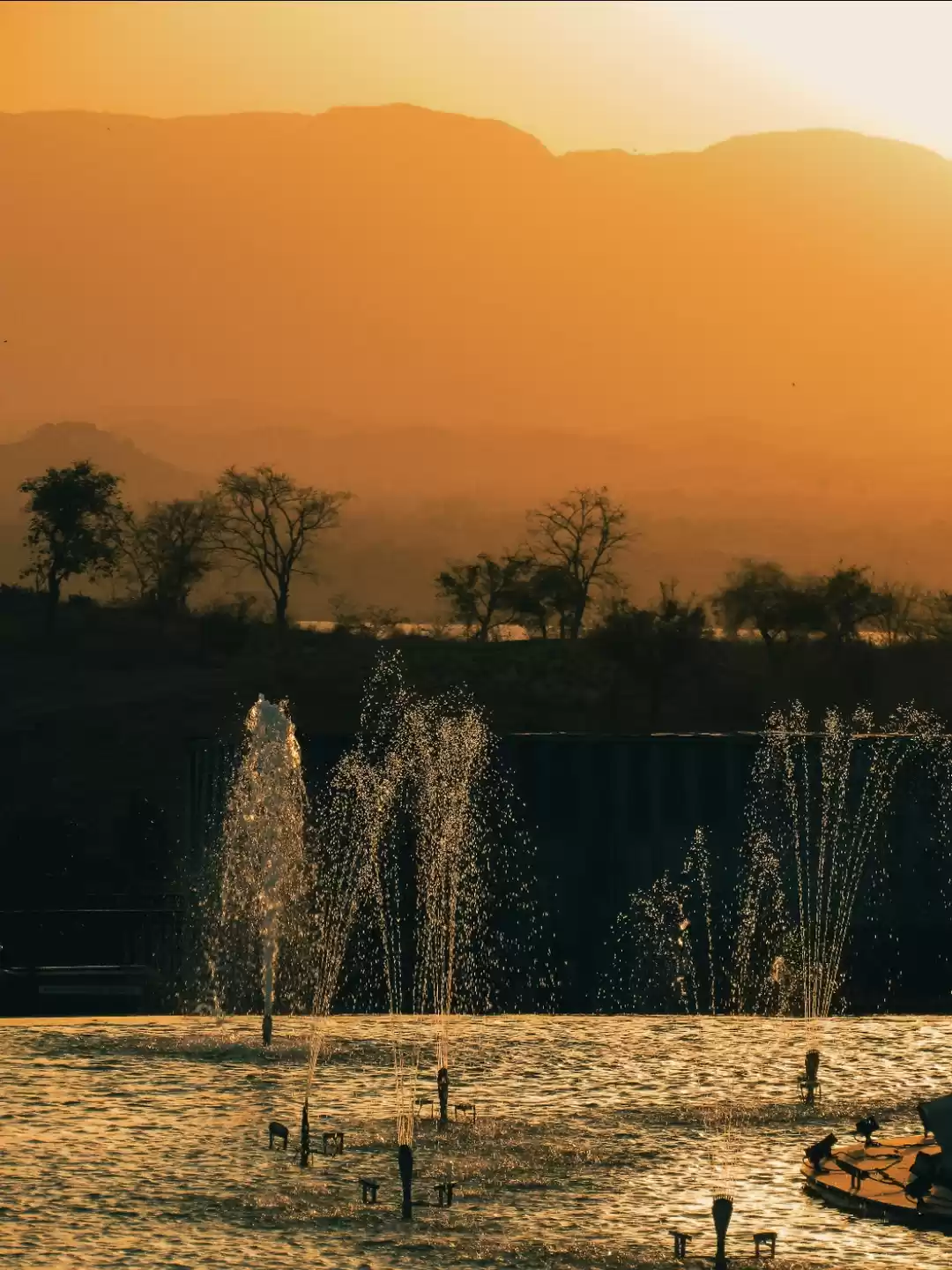 Photo of Beautiful evening vi
